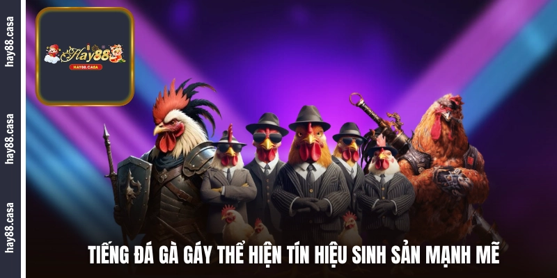 Tiếng đá gà gáy còn thể hiện tín hiệu sinh sản mạnh mẽ