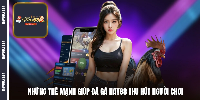 Những thế mạnh giúp đá gà HAY88 thu hút người chơi