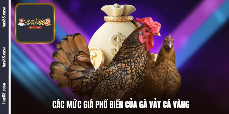 Các mức giá phổ biến của gà vảy cá vàng