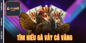 gà vảy cá vàng hay88