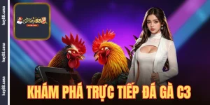trực tiếp đá gà c3