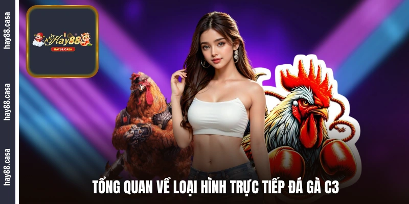 Tổng quan về xem và cá cược trực tiếp đá gà C3
